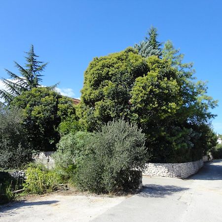 Apartment Villa Green Court Korcula Town Exterior photo