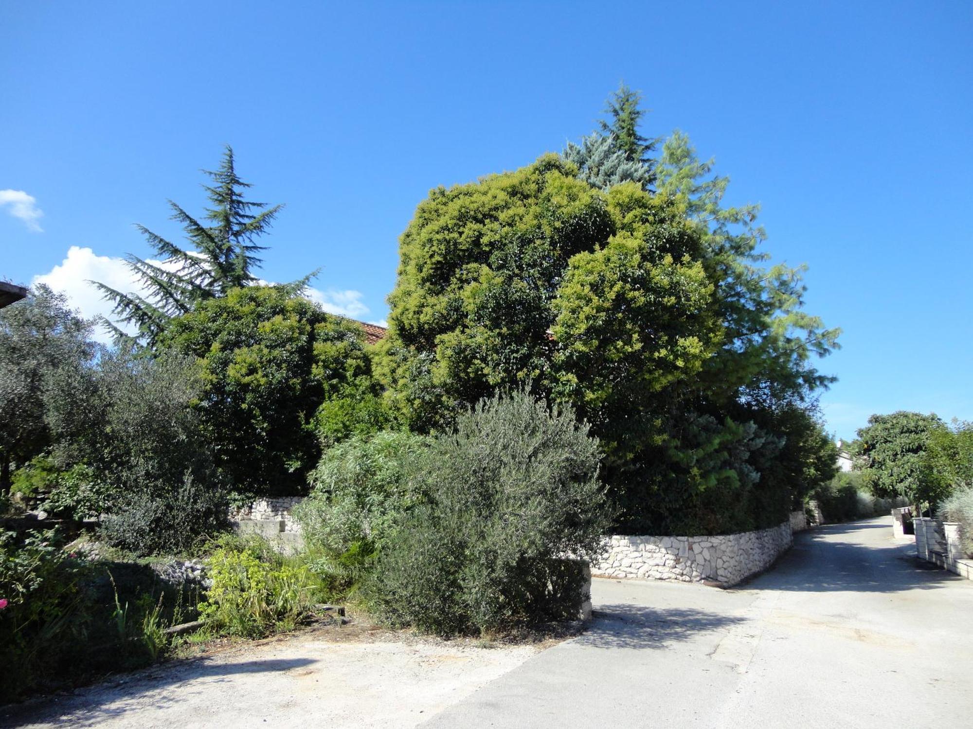 Apartment Villa Green Court Korcula Town Exterior photo
